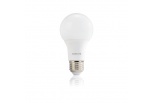 Bulbs L3-016